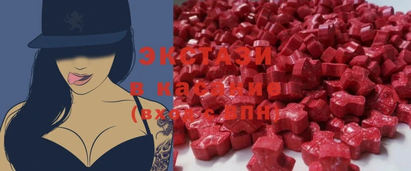 прущие грибы Новозыбков