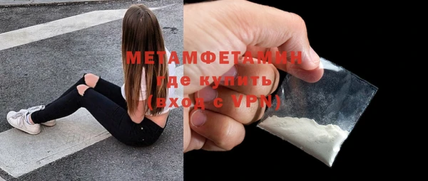 сатива Новодвинск