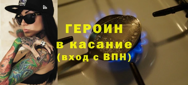 прущие грибы Новозыбков