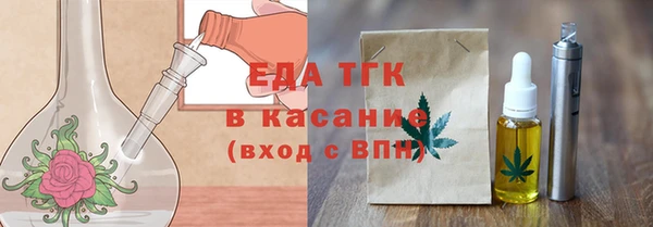 сатива Новодвинск