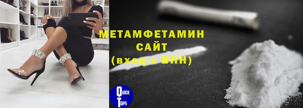 прущие грибы Новозыбков