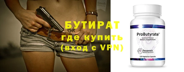 прущие грибы Новозыбков