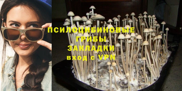гашик Белокуриха