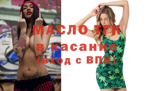 прущие грибы Новозыбков