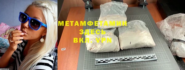 прущие грибы Новозыбков