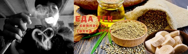 прущие грибы Новозыбков