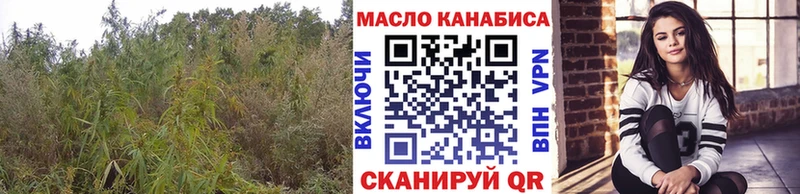 OMG сайт  Кадников  Дистиллят ТГК вейп с тгк 