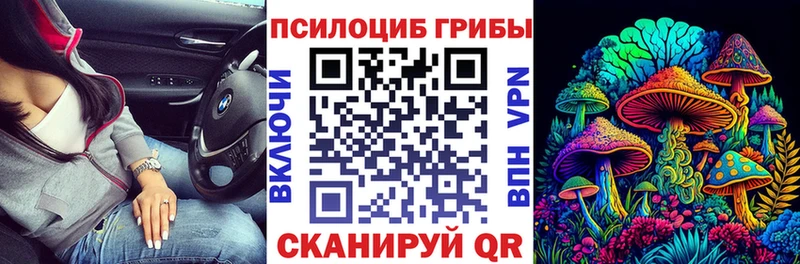 продажа наркотиков  Кадников  Галлюциногенные грибы Psilocybine cubensis 